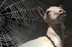 War on America, War on Humanity 2