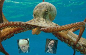 An Octopus or the Frequency Soup