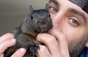 Deep State Collaborators and Inventions