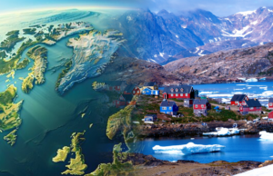 G5 Information Report 4