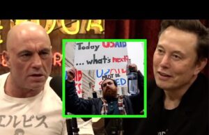 Bureaucratic Grifters