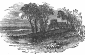 The Knell of Altruism