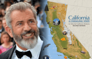 Gibson, Boeing, Fake Jets, and Demise of Democraps