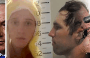 Bibi, a Furry, a Patsy and a Pro