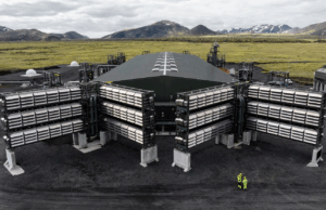 Brain Capture and Storage