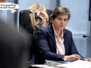 Missing Justice Pt 6: Stand Down Peta McCammon