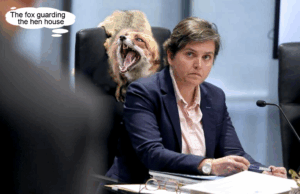 Missing Justice Pt 6: Stand Down Peta McCammon