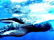 We Love You Big Brother