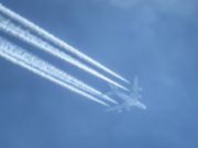 War on Humanity and Humanity’s Voice and Mind