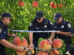 Solutions, Part 4: Arrest the Low-hanging Fruit