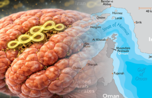 Back to the Stone Age: A Brain Infection Story