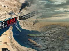 Wealth, War, Energy and Food Security