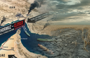 Wealth, War, Energy and Food Security